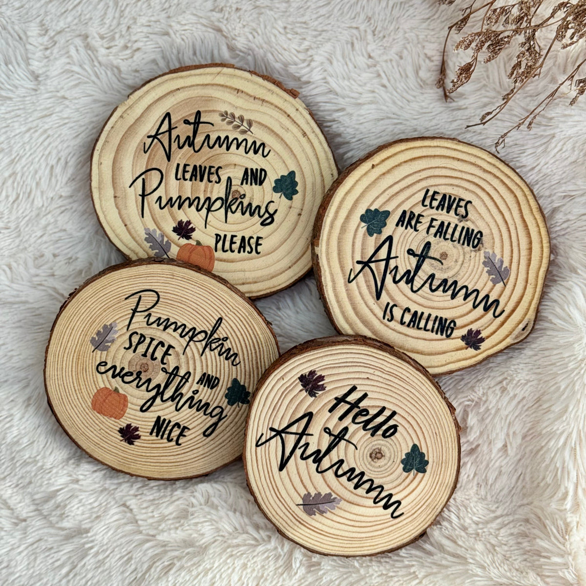 Enchanted Halloween | Letterbox Gift